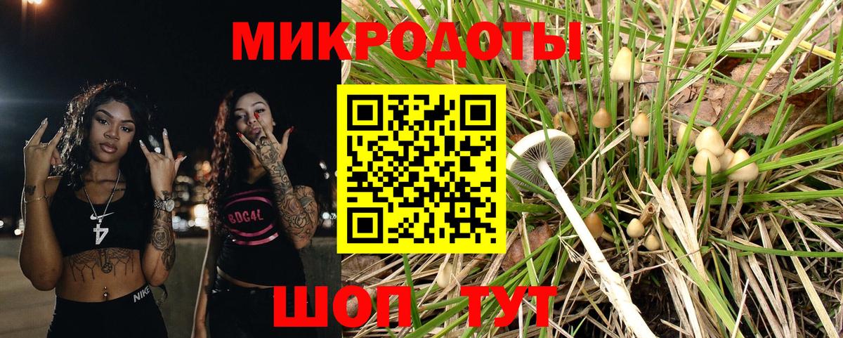 Галлюциногенные грибы Magic Shrooms Нурлат