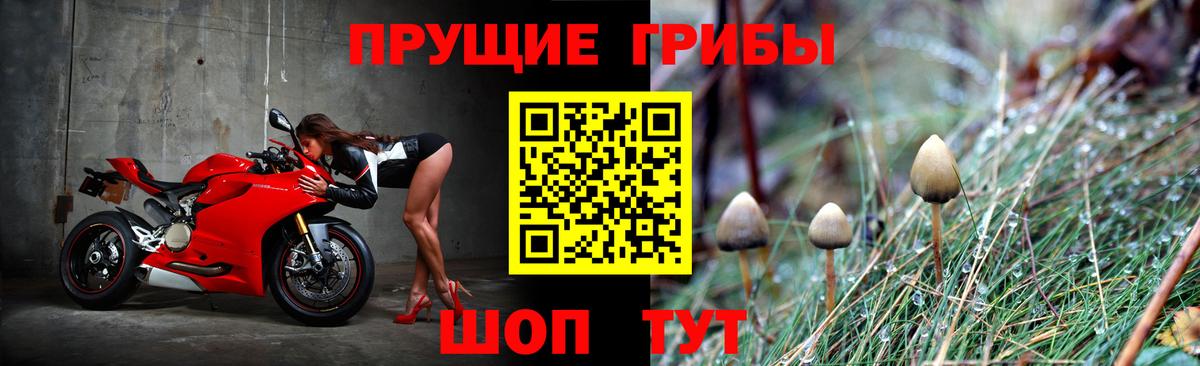 купить наркотик  Вход с VPN  Нурлат  Псилоцибиновые грибы Psilocybine cubensis 